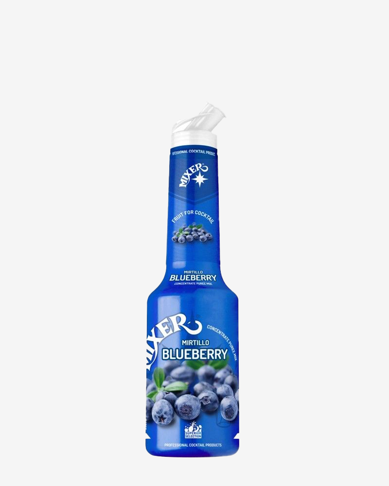 Mixer Blueberry Puree 1L