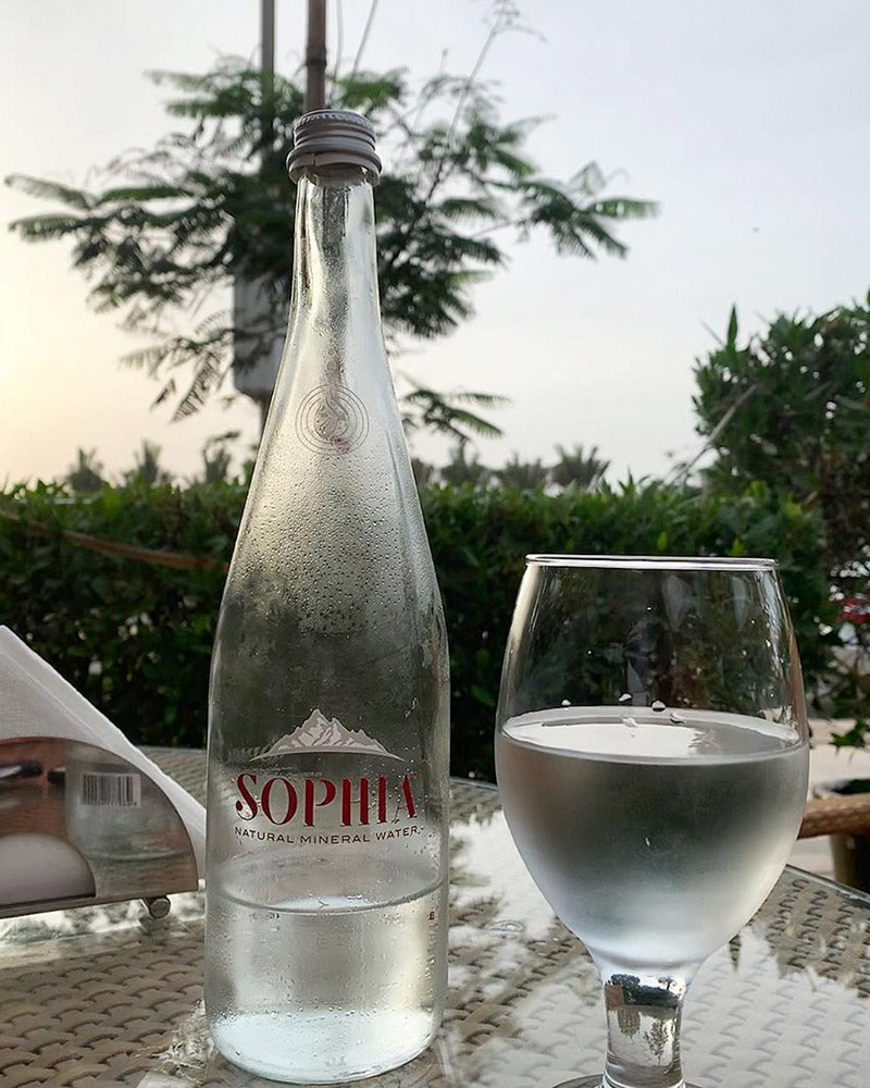 
                  
                    Sophia Dora Natural Mineral Water - 750ml x 6 pieces
                  
                
